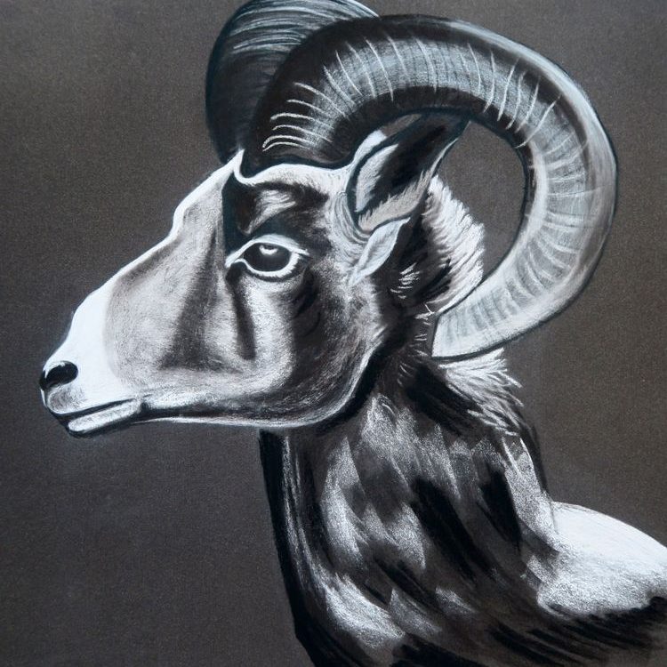 Aries. What is Hidden Beyond the Grey Horizon? 2